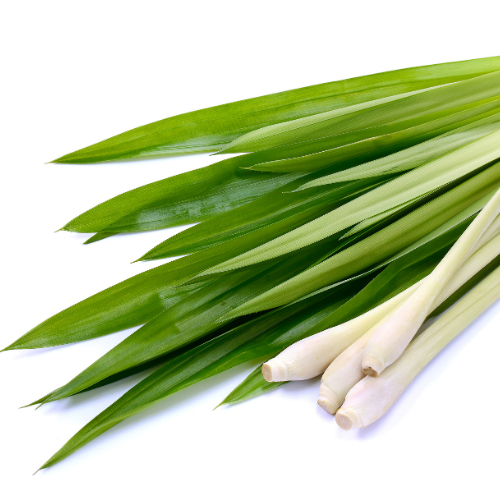 Lemongrass